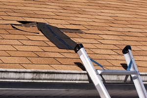 Metal Roofing